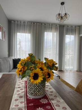 Alma Rose Apartments 4